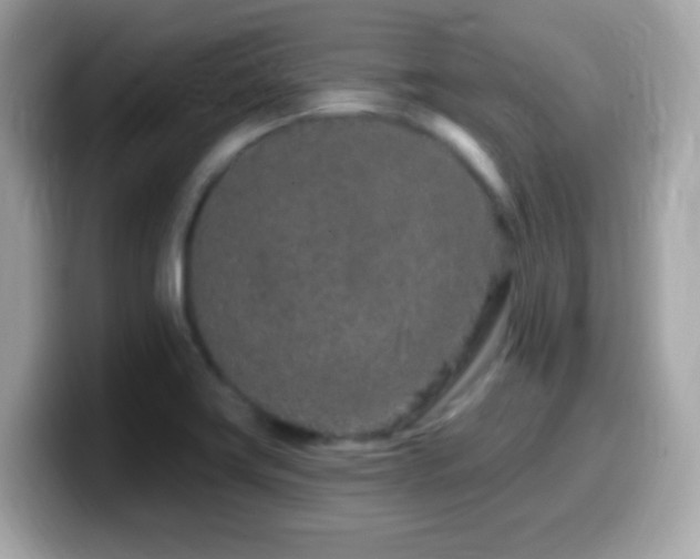 X0000099961419200805231332