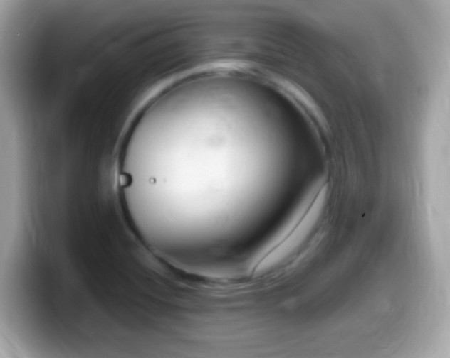 X0000099961420200805231332