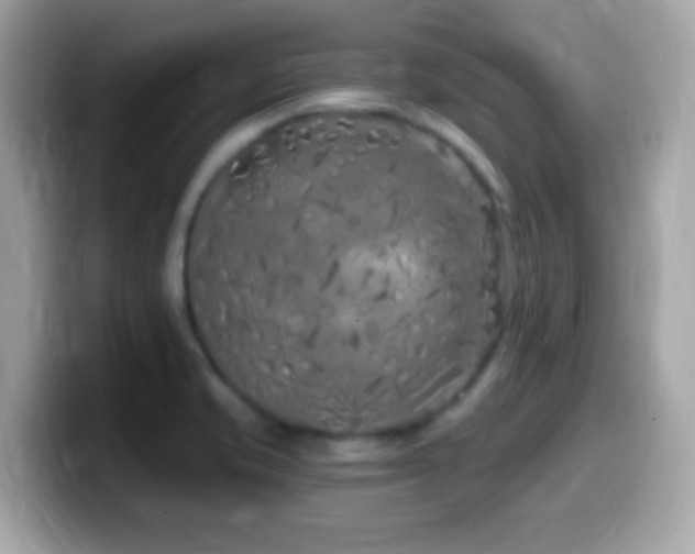 X0000099961421200805231332