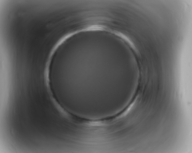 X0000099961422200805231332