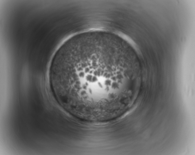X0000099961423200805231332