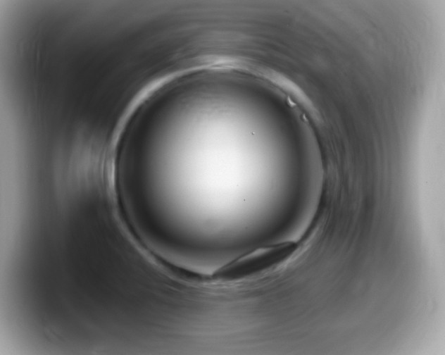 X0000099961424200805231332