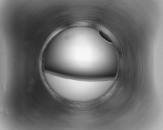 X0000099961426200805231332
