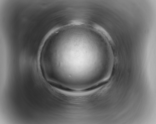 X0000099961427200805231332