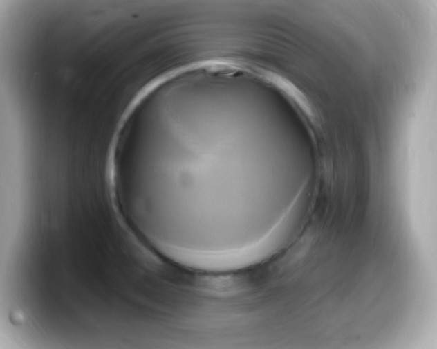 X0000099961428200805231332