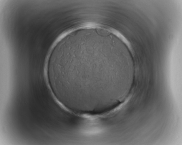 X0000099961429200805231332