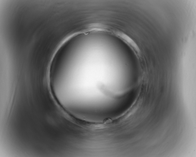 X0000099961431200805231332
