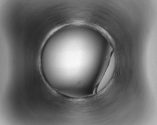X0000099961432200805231332