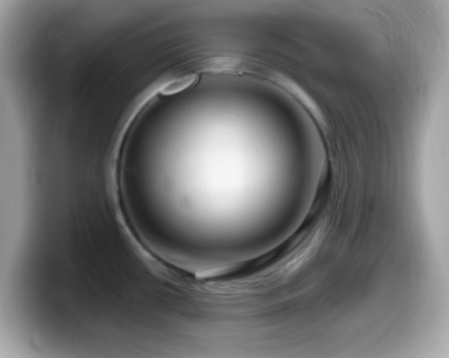 X0000099961434200805231333