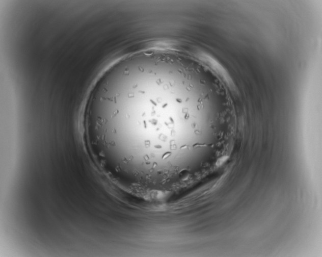 X0000099961435200805231333