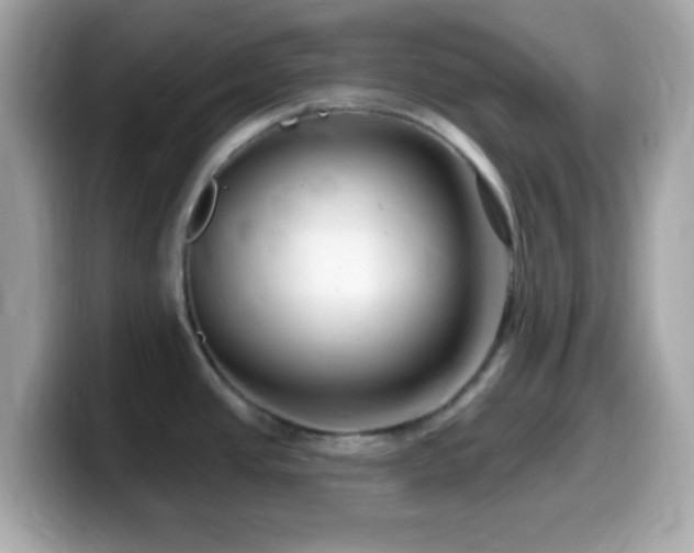 X0000099961437200805231333