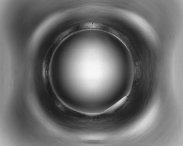 X0000099961438200805231333