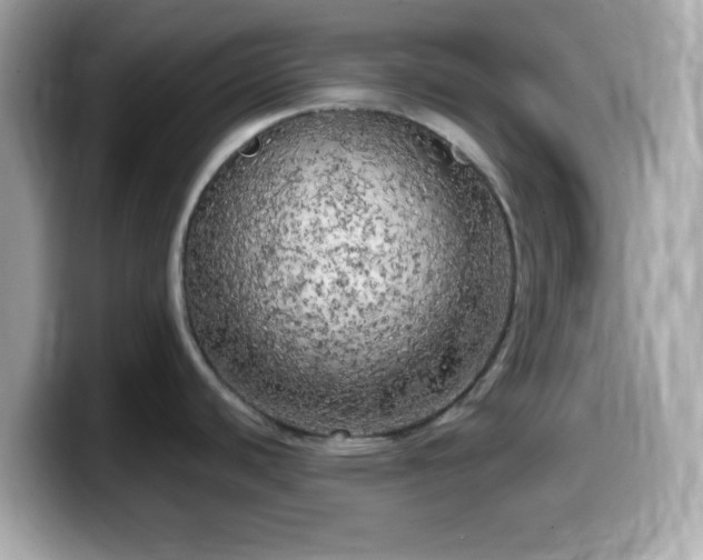 X0000099961440200805231333