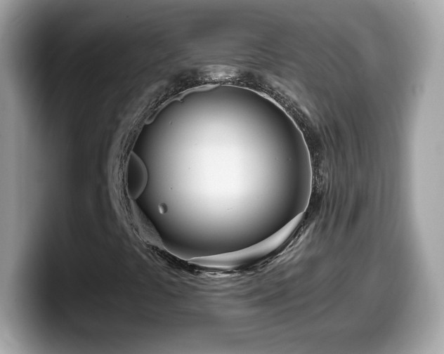 X0000099961441200805231332