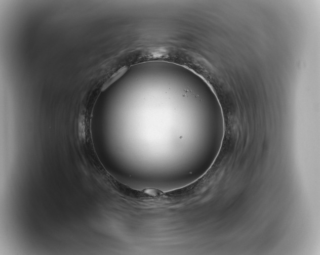 X0000099961442200805231332