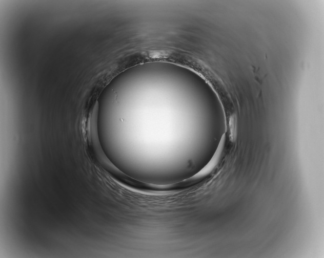 X0000099961443200805231332