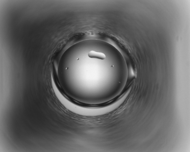 X0000099961444200805231332