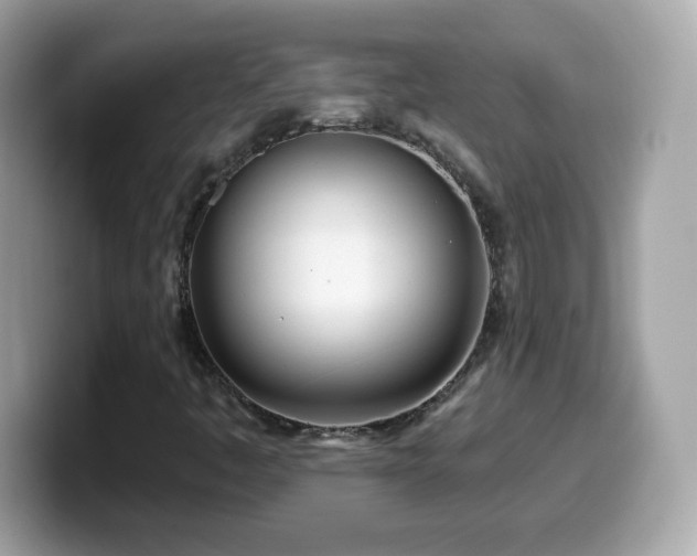 X0000099961445200805231332