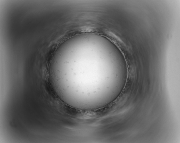 X0000099961446200805231332