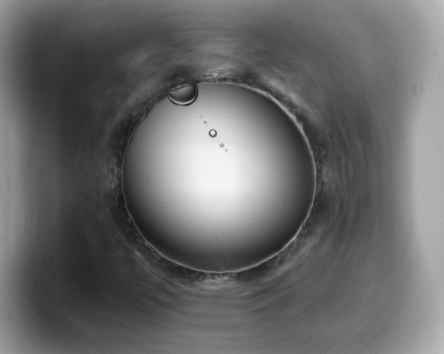 X0000099961447200805231332