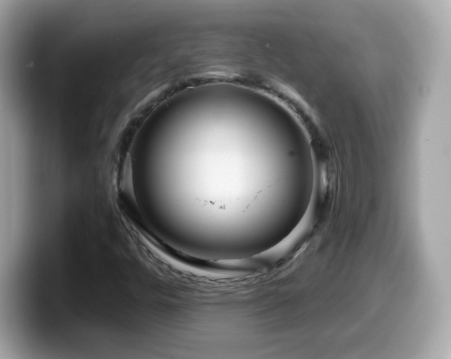 X0000099961448200805231332