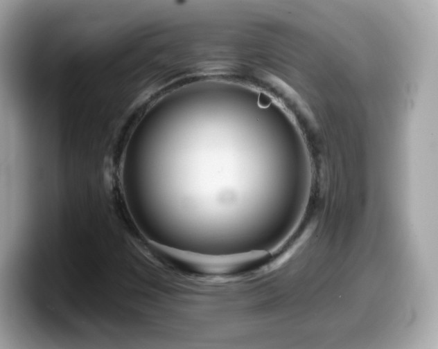 X0000099961449200805231332
