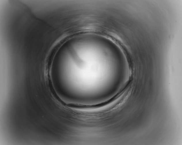 X0000099961450200805231332