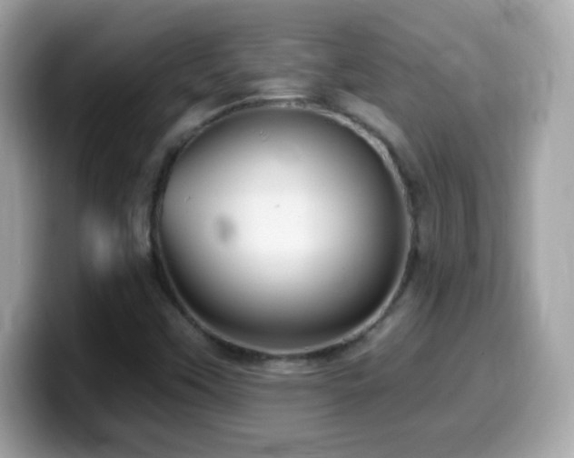 X0000099961451200805231332