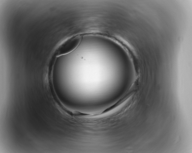 X0000099961452200805231332
