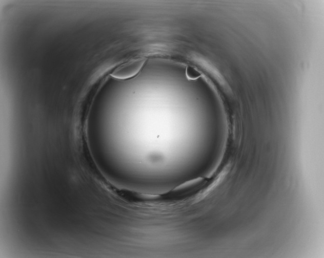 X0000099961453200805231332