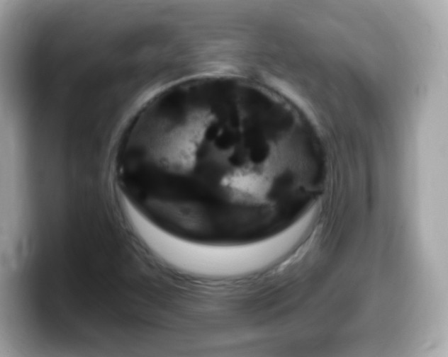 X0000099961455200805231332
