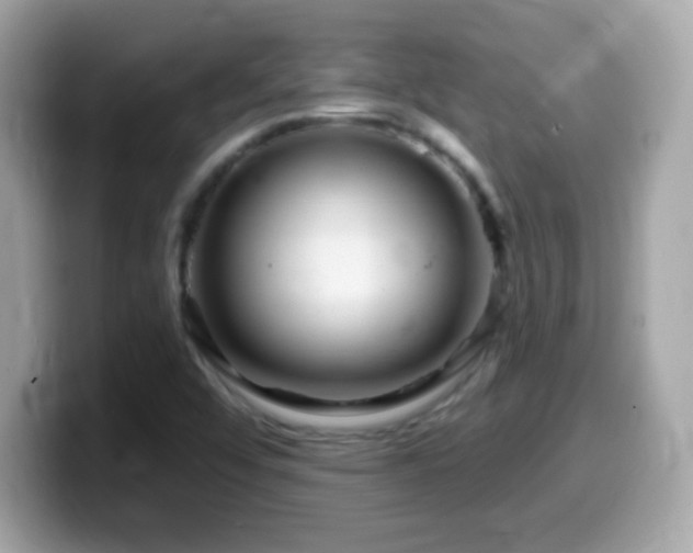 X0000099961456200805231332