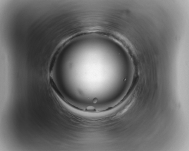 X0000099961457200805231332