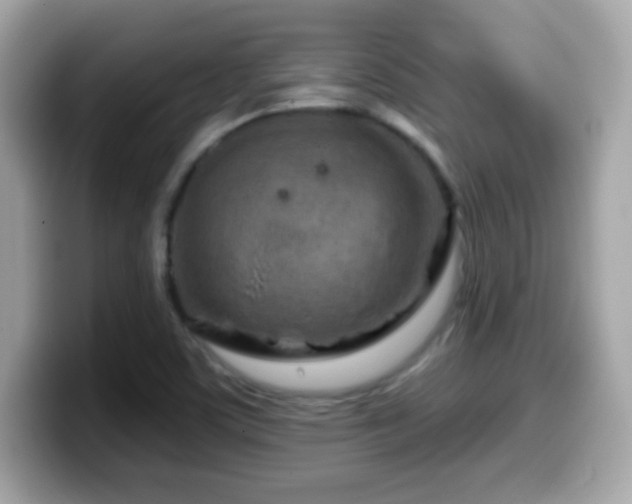 X0000099961459200805231332