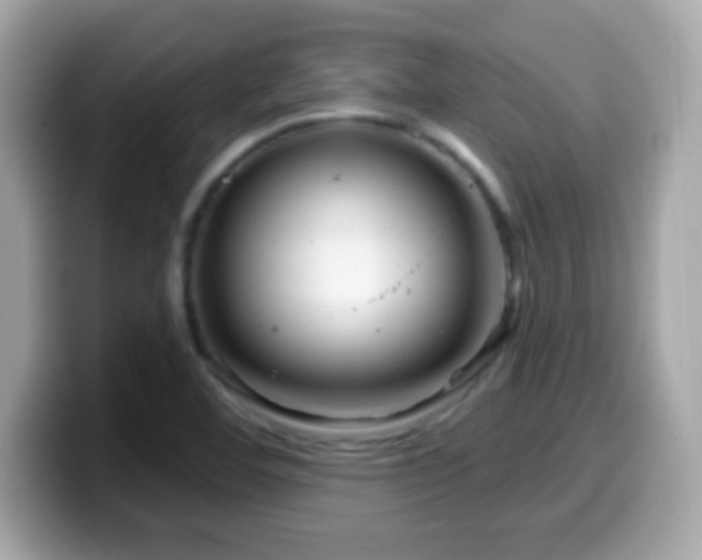 X0000099961460200805231332