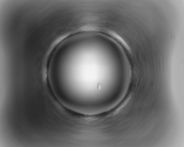 X0000099961461200805231332