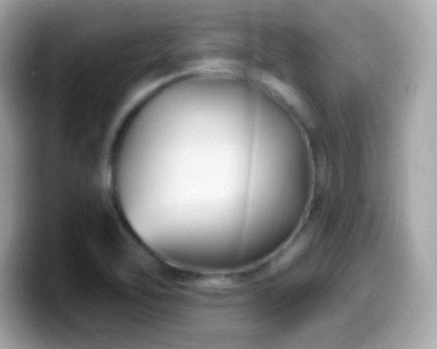 X0000099961462200805231332