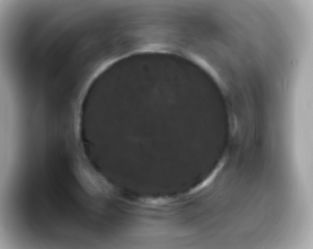 X0000099961463200805231332