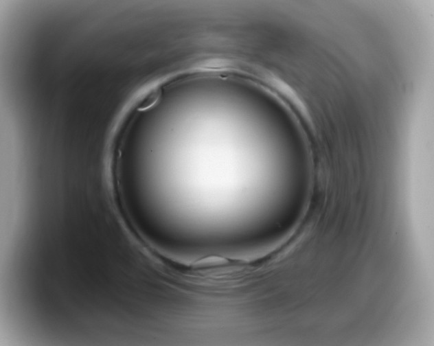 X0000099961464200805231332