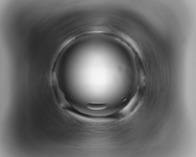 X0000099961465200805231332