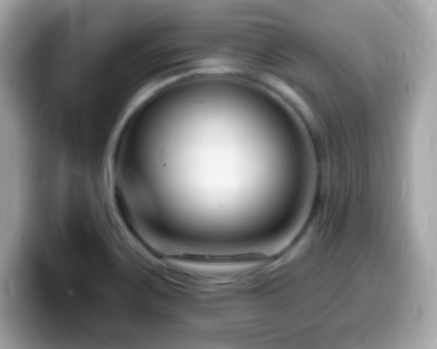 X0000099961467200805231332