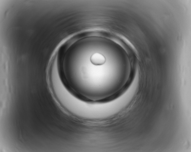 X0000099961468200805231332