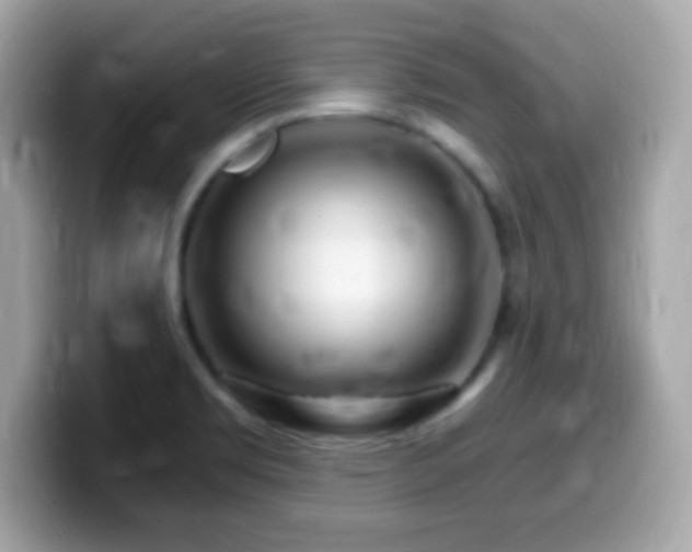 X0000099961469200805231332