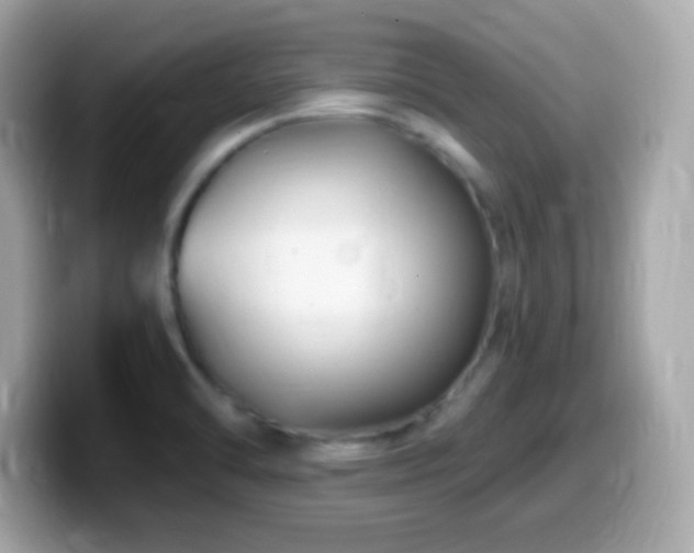 X0000099961470200805231332