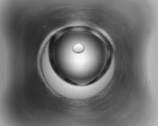 X0000099961472200805231332