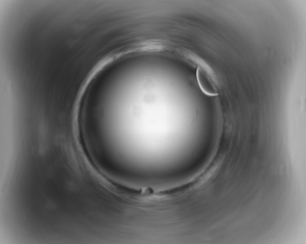 X0000099961475200805231332