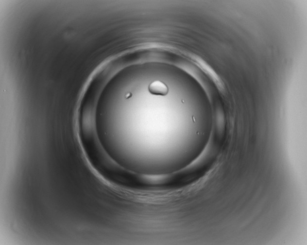 X0000099961476200805231332