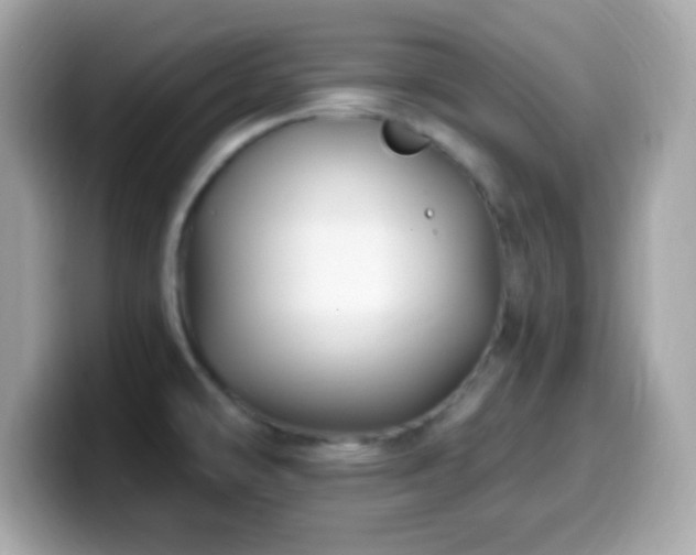 X0000099961478200805231332