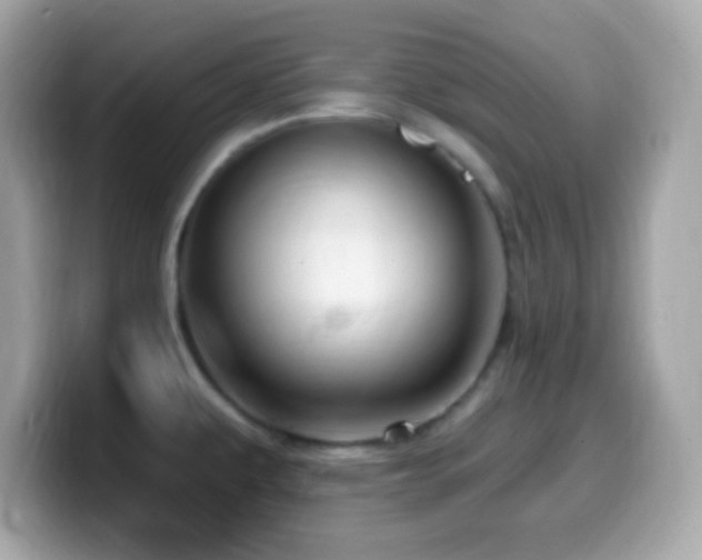 X0000099961479200805231332