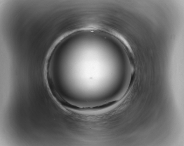 X0000099961480200805231331